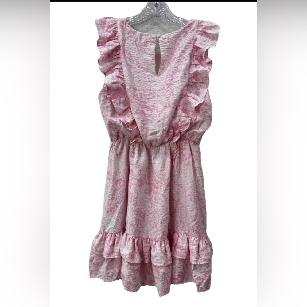 Aqua Light Pink Ruffle Mini Dress - Picture 3 of 5